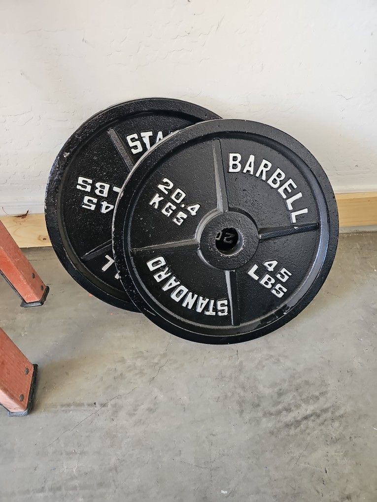 45lb Weights