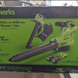 24 Volts Greenworks Leaf Blower And Vacuum 