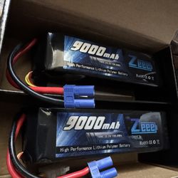 Zeee Batteries 6s