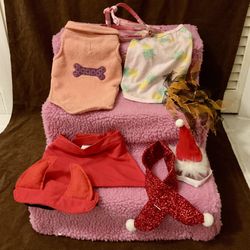 Small Dog Clothes and Stair and Harness 10 Pcs