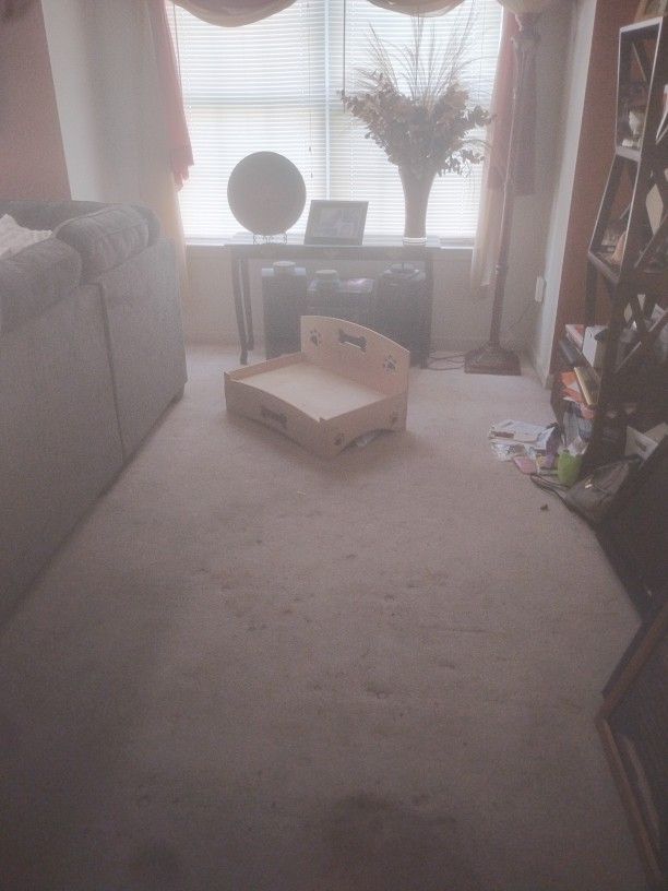 Dog Bed Area