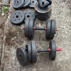 Weights And Curling Bars