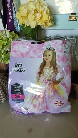 Rose princess costume lights up size 4/6