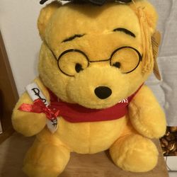 Graduation Bear Toy Plush.