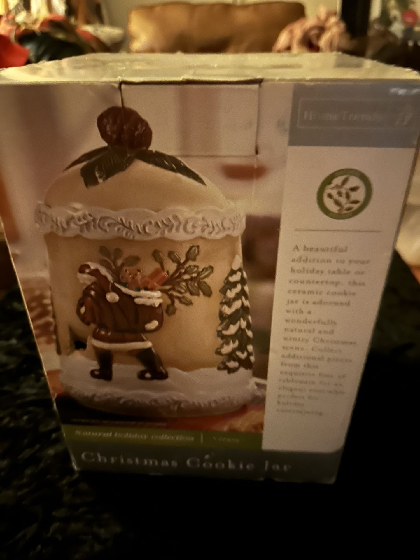 Beautiful New Cookie Jar 