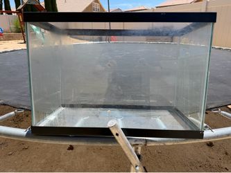20 gl aquarium fish tank