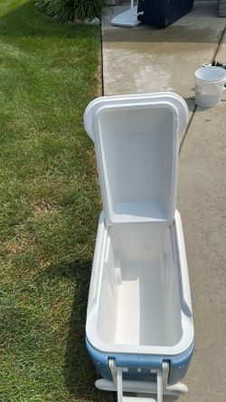 Igloo  Cooler