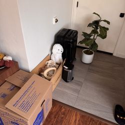 Misc Items - Glassware, Luggage, Mini Heater, Fake Plant