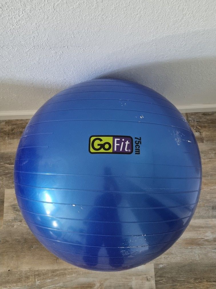 Yoga Balloon