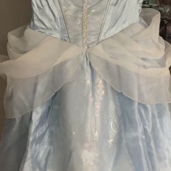 Cinderella Disney Custom 