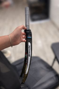 Bianchi full carbon fork