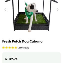 Dog Cabana 