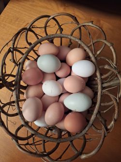 Recycled Egg Cartons Filled with Nuggets