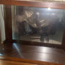 White N Brown Glass Table