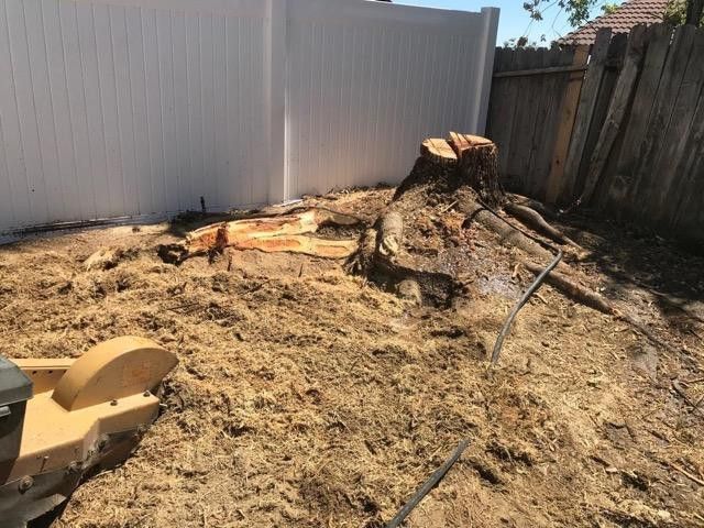 Stump Grinding