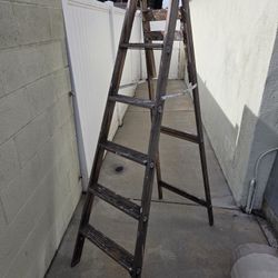 Wooden Ladder 