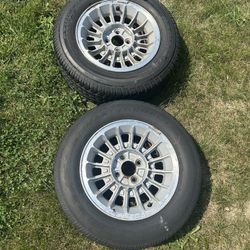 Mustang Rims