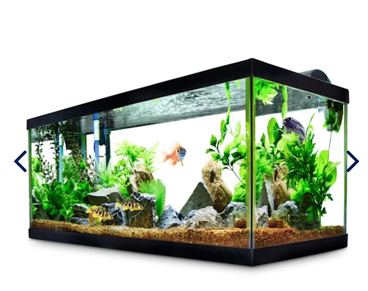 40 Gallon fish tank with glass lid top and brand new never used eheim canister filter.