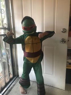Turtle ninga costume