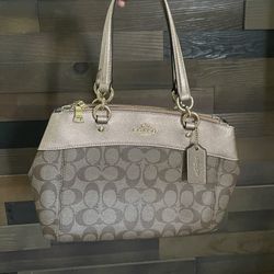 Coach Women's Signature Metallic Trim Mini Brooke Carryall