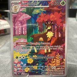 Pokémon Cards
