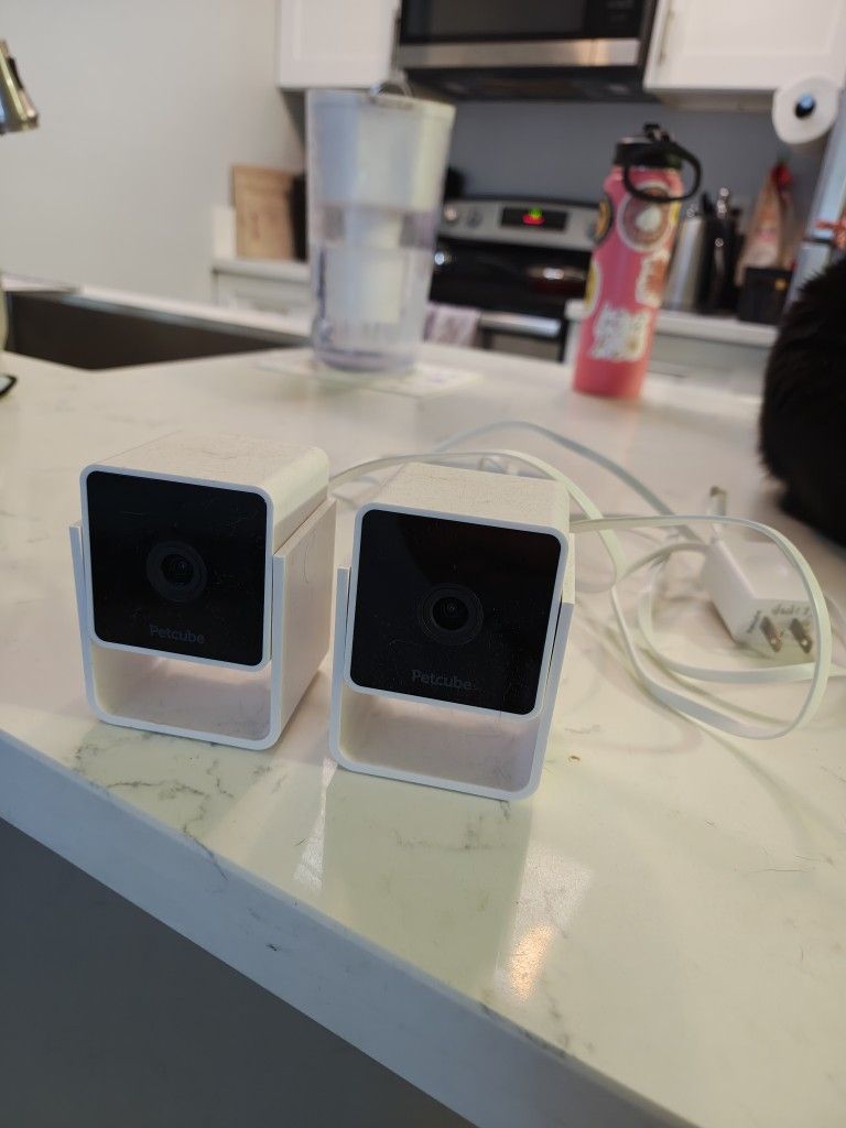 Pet Cameras