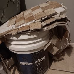 Pintura Y Pizo 