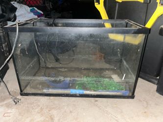 Fish tank