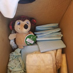 Box Of Doll Diapers,  Shorts , And A Hedge Hog