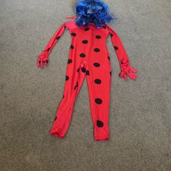Halloween costume Miraculous lady
