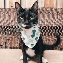 Valentine Reversible Pet Bandana
