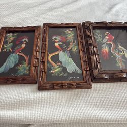 3-Mexican Feathercraft  pictures