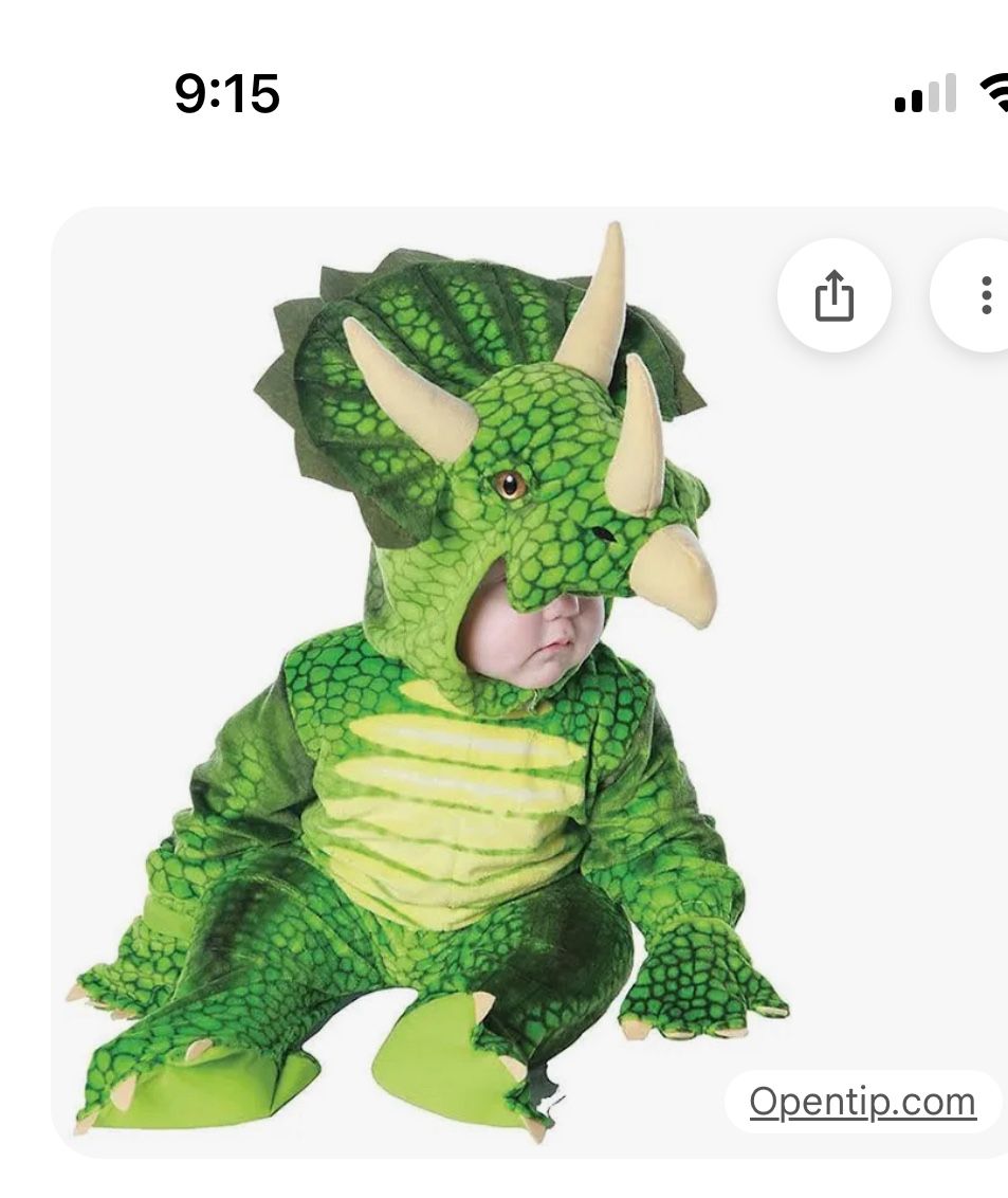 Baby Dinosaur Size 12-18 Months 