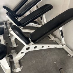 FOR SALE: Flex Fitness Adjustable Incline Benches (Qty 4)
