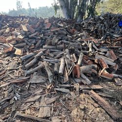 Drive Firewood ready to burn