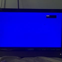 19” Vizio Compact TV : PLEASE READ DESCRIPTION 