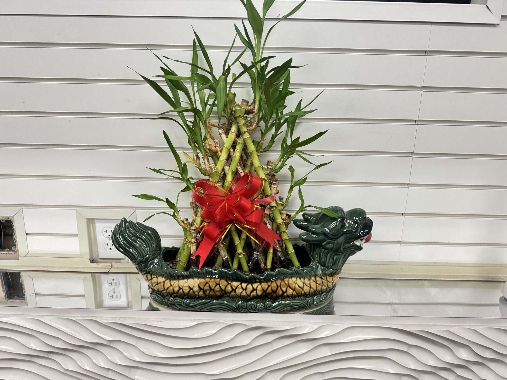 Green plant lucky bamboo with dragon boat shaped flower pot