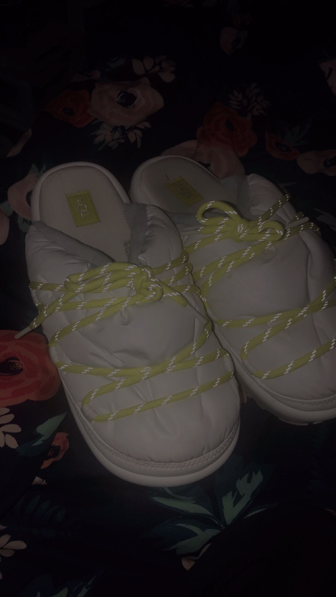 Uggs Shoes