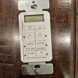 Digital Programmable Timer