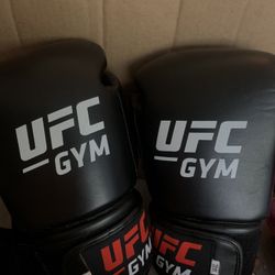 UFC boxing gloves