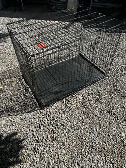 Xl Dog Kennel 