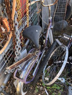 Bianchi folding bicycle