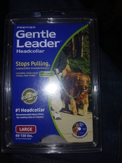 Gentle leader headcollar