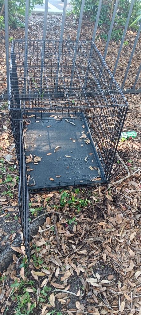 Petmate Medium Dog Crate