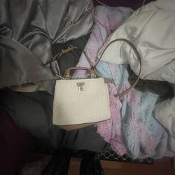 Guess Purse
