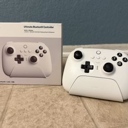 8BitDo Ultimate controller (Mac, PC, Nintendo Switch)