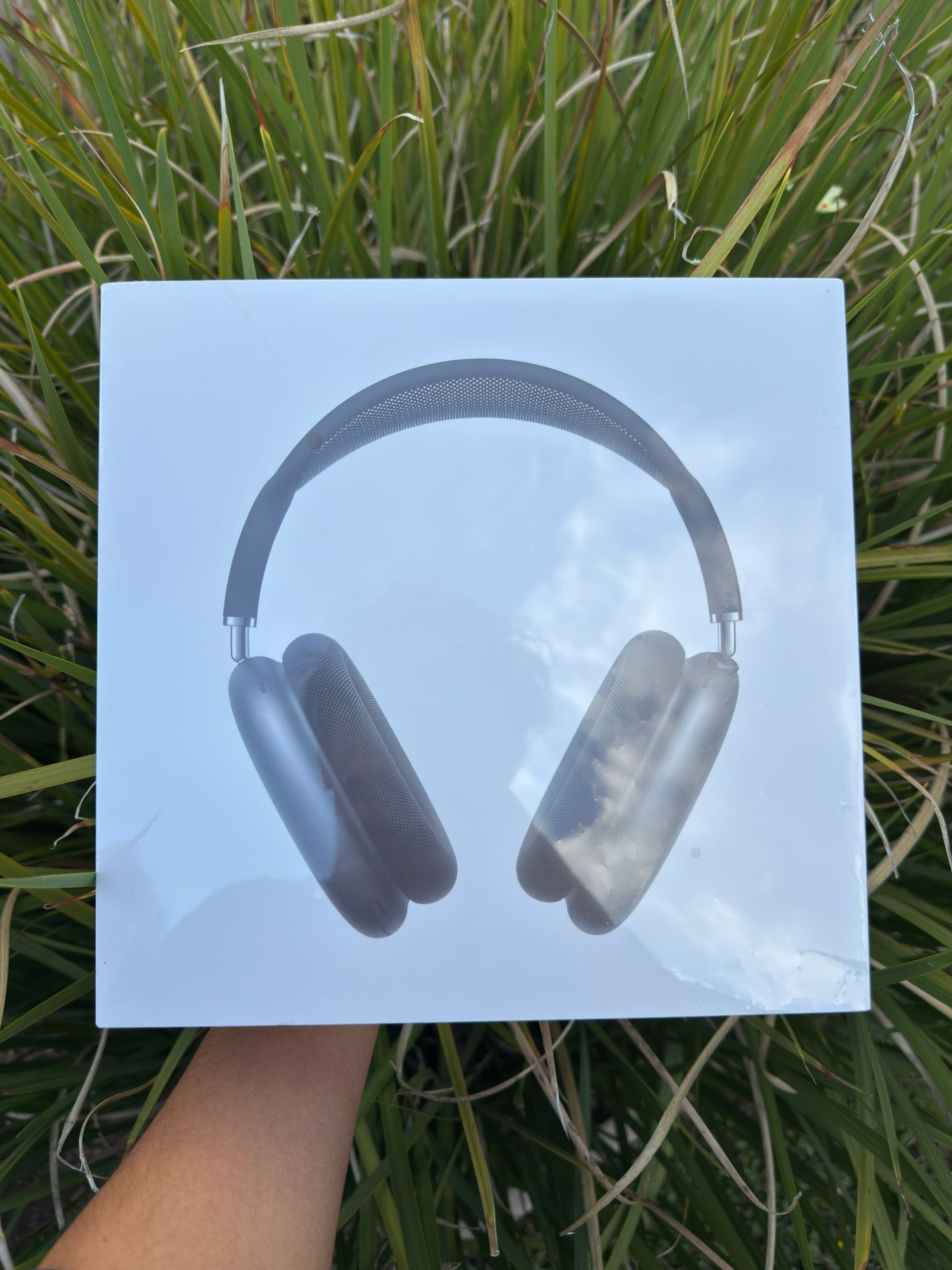 apple max’s headphones