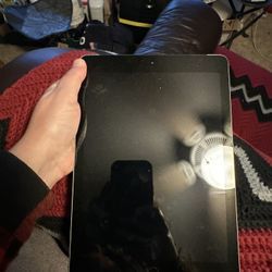 iPad 