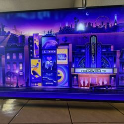 55 Inch Roku Tv