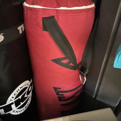 Punching Bags 